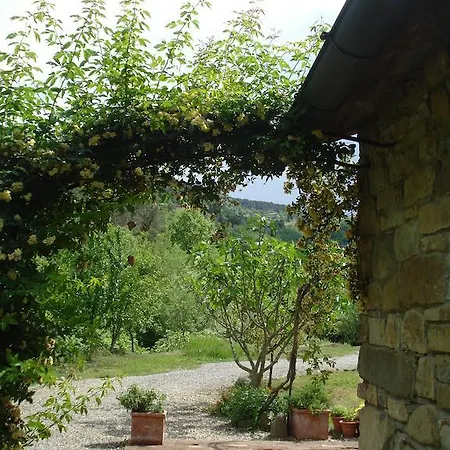 Couette-café Il Cielo Bio - Il Piccolo Del Chianti Greve in Chianti