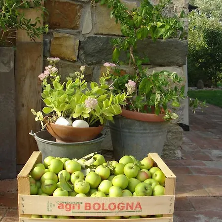 Couette-café Il Cielo Bio - Il Piccolo Del Chianti 3*