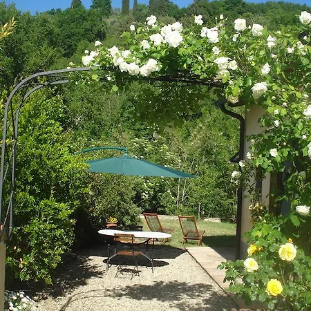 Couette-café Il Cielo Bio - Il Piccolo Del Chianti 3*