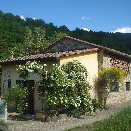 Couette-café Il Cielo Bio - Il Piccolo Del Chianti 3*