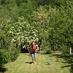 Couette-café Il Cielo Bio - Nature, Relax, Shiatsu, Massage, Esplore Chianti 4*