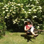 Couette-café Il Cielo Bio - Nature, Relax, Shiatsu, Massage, Esplore Chianti Greve in Chianti