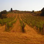 Il Cielo Bio - Nature, Relax, Shiatsu, Massage, Esplore Chianti