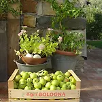 Couette-café Il Cielo Bio - Nature, Relax, Shiatsu, Massage, Esplore Chianti 4*