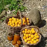 Couette-café Il Cielo Bio - Nature, Relax, Shiatsu, Massage, Esplore Chianti Greve in Chianti
