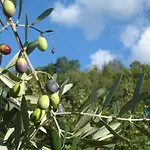 Couette-café Il Cielo Bio - Nature, Relax, Shiatsu, Massage, Esplore Chianti Greve in Chianti