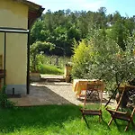Il Cielo Bio - Nature, Relax, Shiatsu, Massage, Esplore Chianti Greve in Chianti