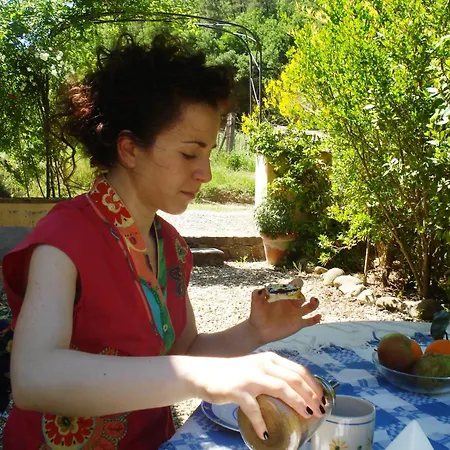 Il Cielo Bio - Nature, Relax, Shiatsu, Massage, Esplore Chianti 4* Greve in Chianti