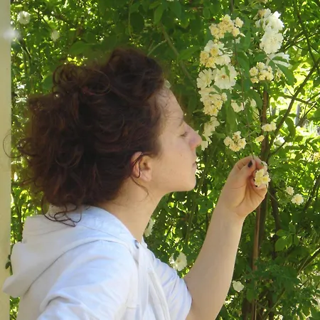 Il Cielo Bio - Nature, Relax, Shiatsu, Massage, Esplore Chianti