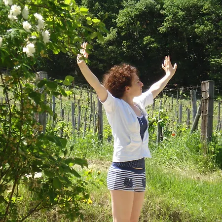 Il Cielo Bio - Nature, Relax, Shiatsu, Massage, Esplore Chianti 4*