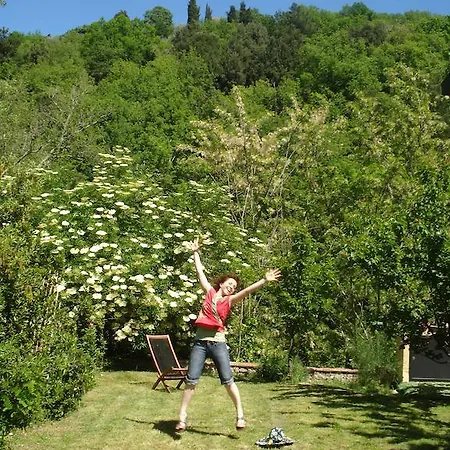Oda ve Kahvaltı Il Cielo Bio - Nature, Relax, Shiatsu, Massage, Esplore Chianti Greve in Chianti