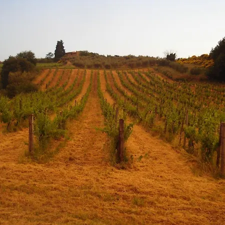 Il Cielo Bio - Nature, Relax, Shiatsu, Massage, Esplore Chianti