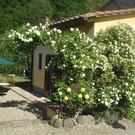 Il Cielo Bio - Nature, Relax, Shiatsu, Massage, Esplore Chianti